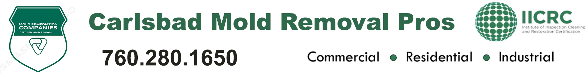 Carlsbad Mold Removal Pros